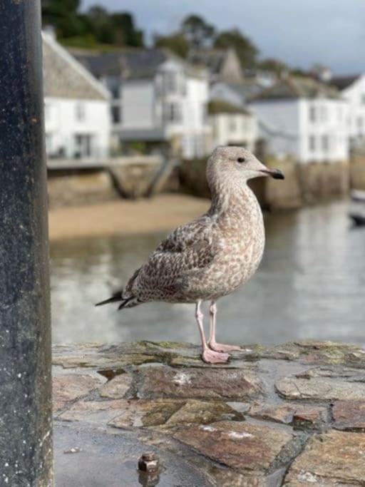 Marners Rock No 1 Apartment Fowey Bagian luar foto